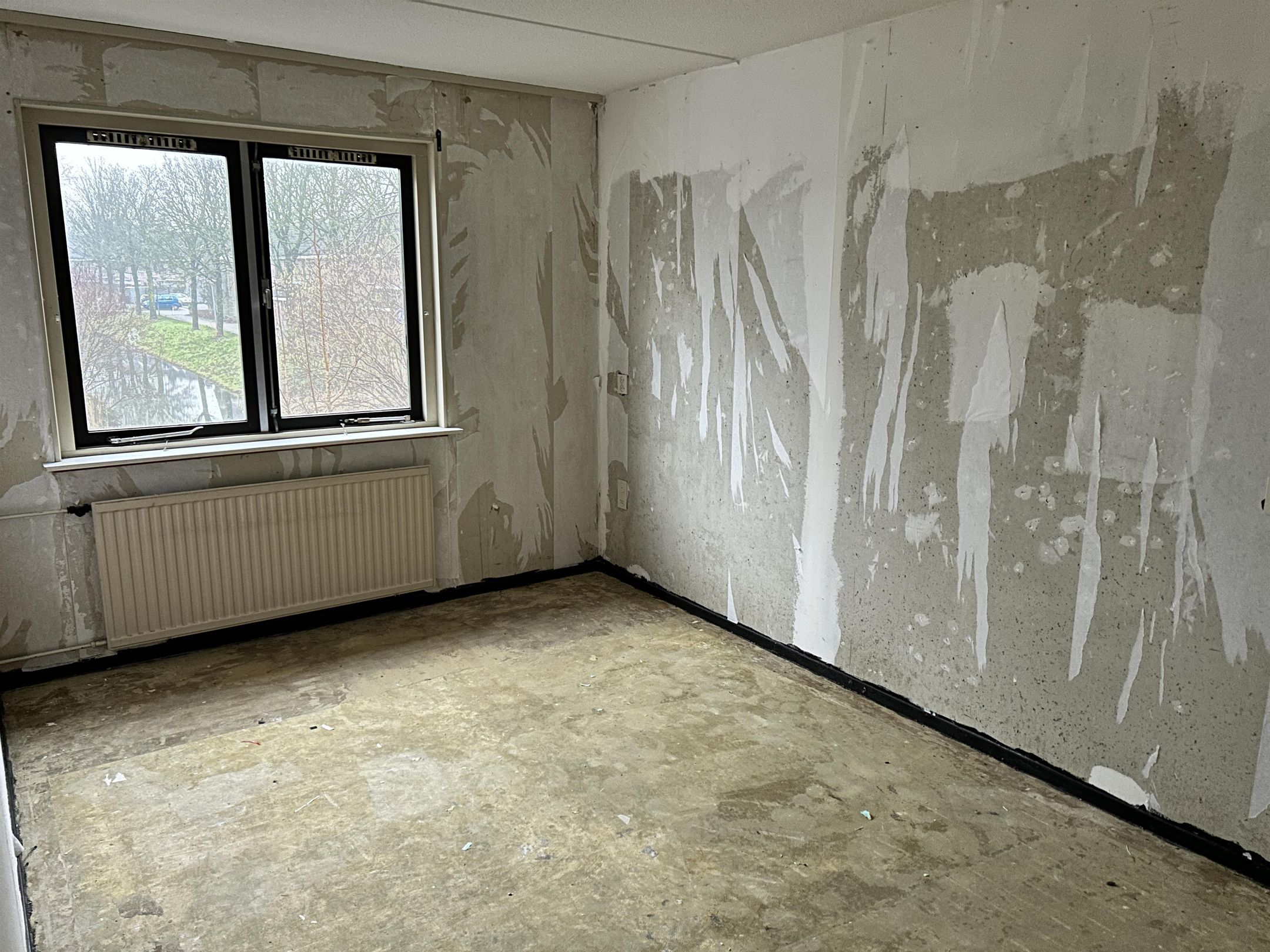 Foto 9 van Hoefblad 156