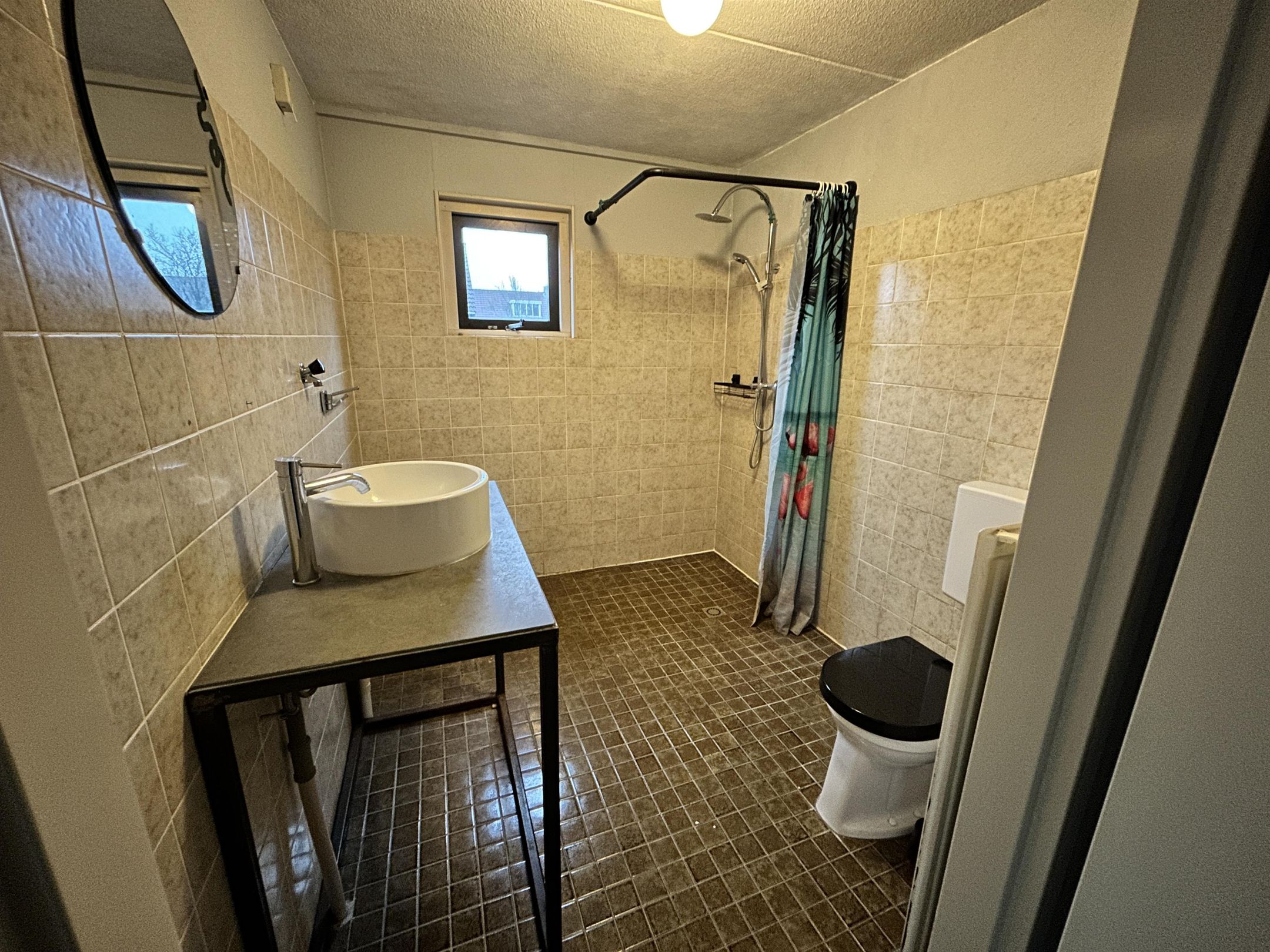 Foto 12 van Hoefblad 156