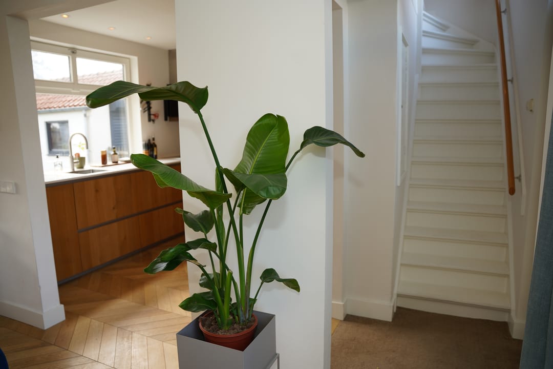 Foto 23 van Cadzandseweg 49