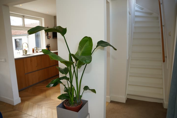 Foto 23 van Cadzandseweg 49