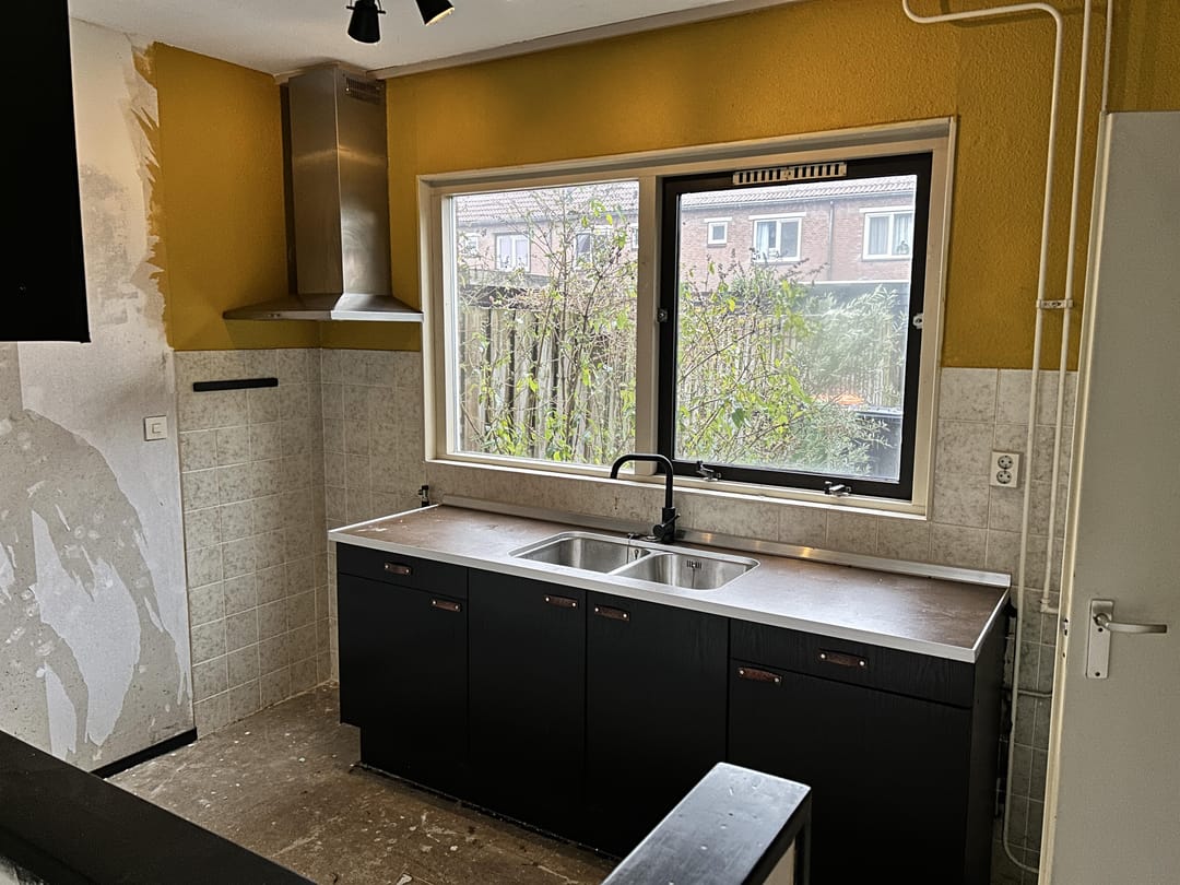 Foto 7 van Hoefblad 156