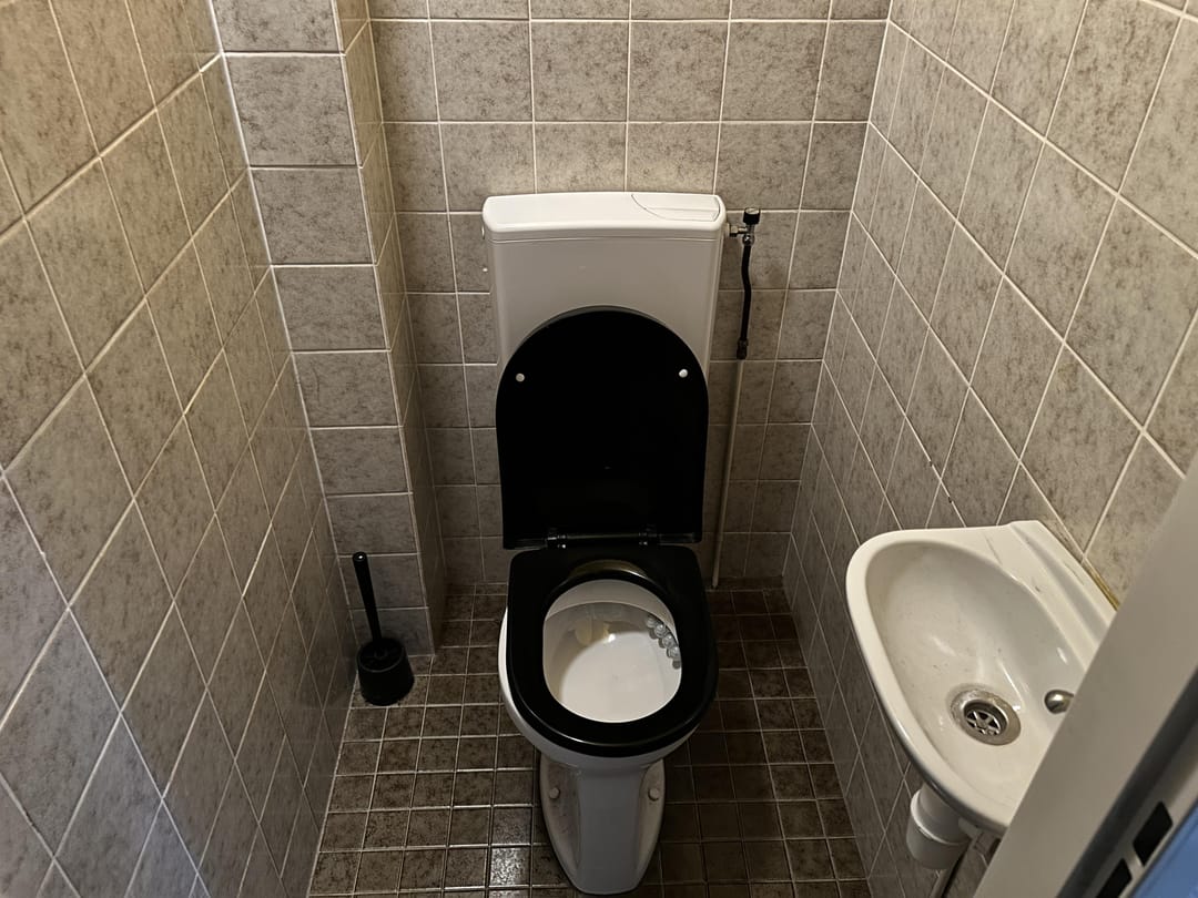 Foto 8 van Hoefblad 156