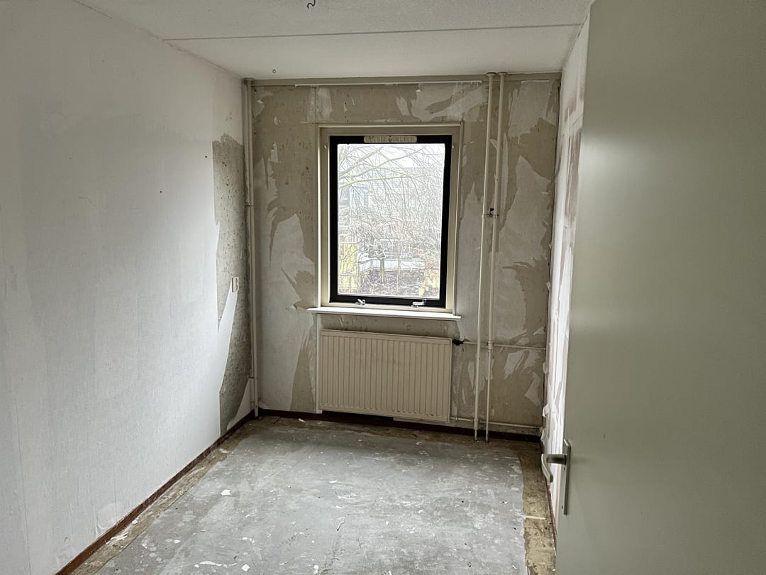 Foto 11 van Hoefblad 156