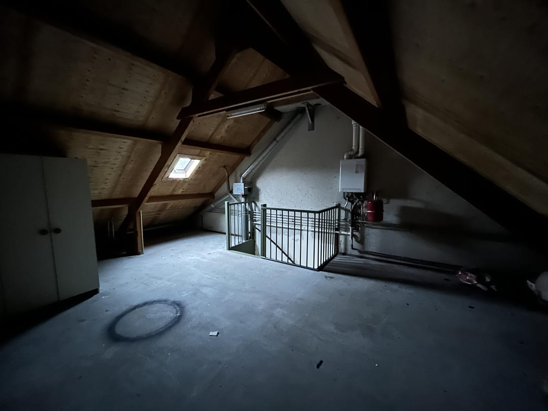 Foto 13 van Hoefblad 156