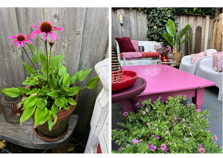 Foto 33 van Erve Broenink 7