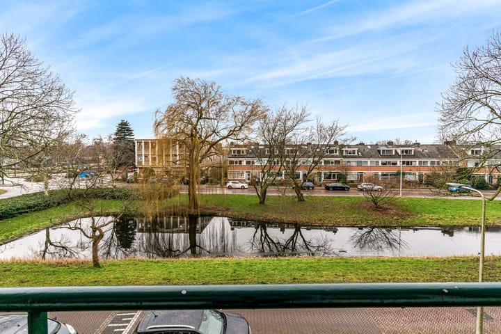 Foto 3 van Schubertplantsoen 15