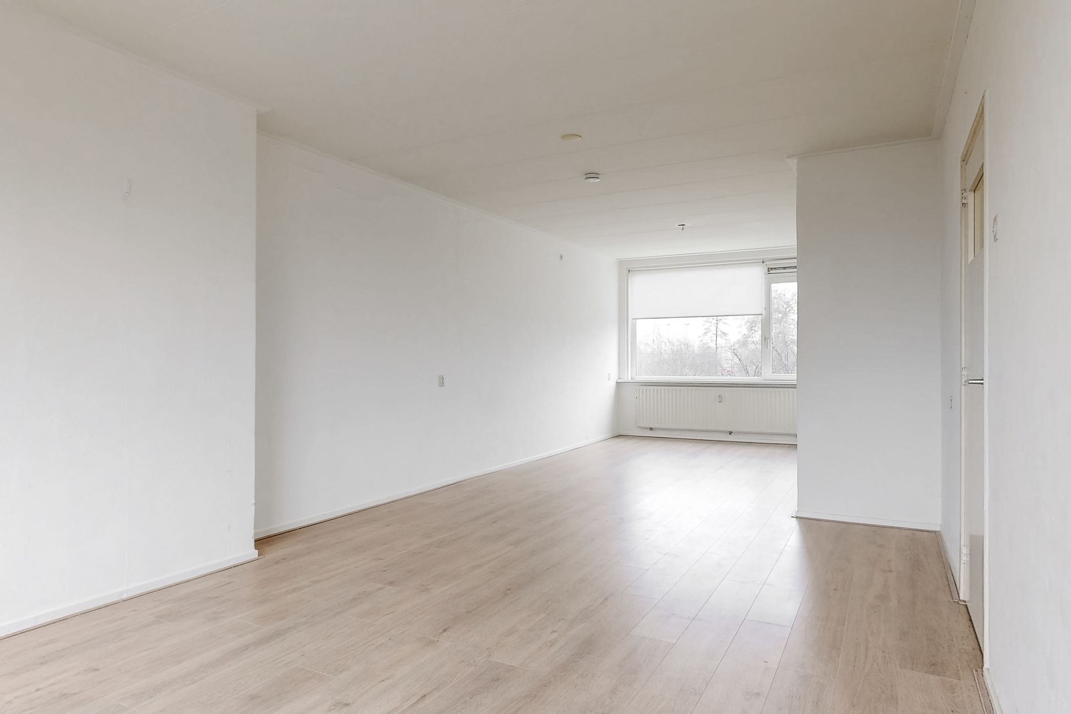 Foto 12 van Schubertplantsoen 15