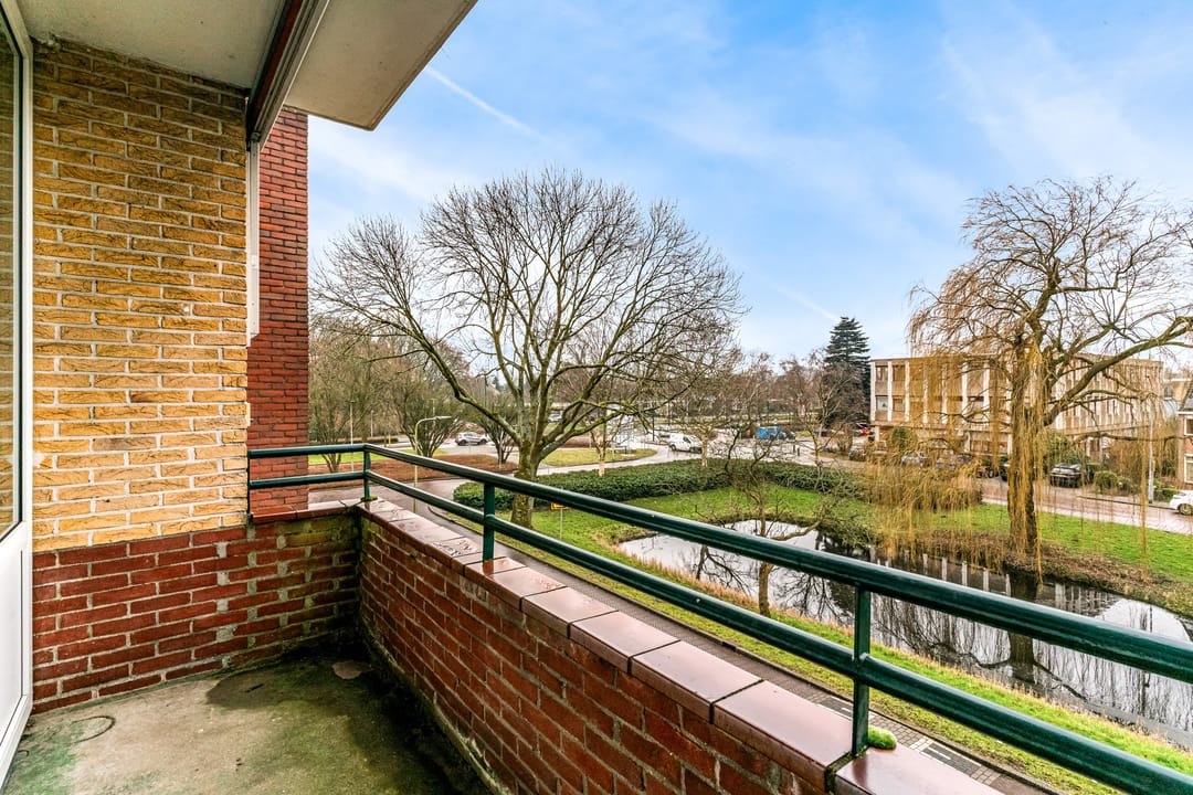 Foto 17 van Schubertplantsoen 15