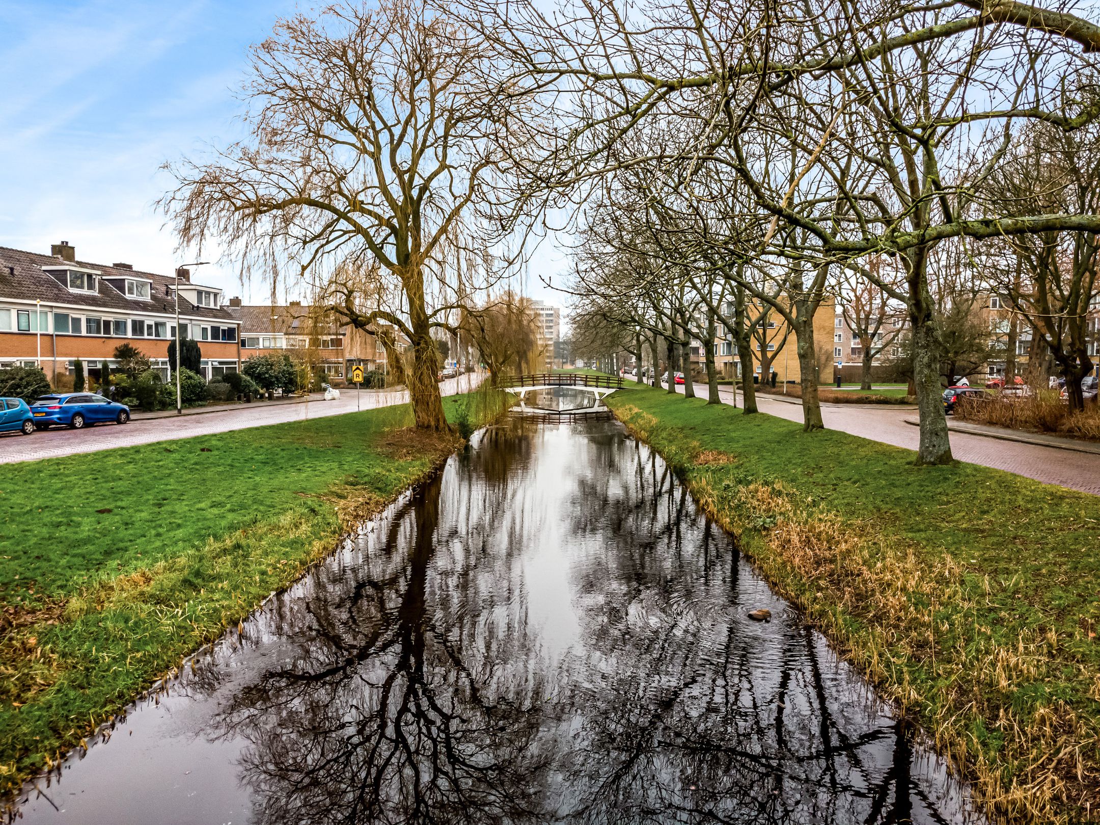 Foto 18 van Schubertplantsoen 15