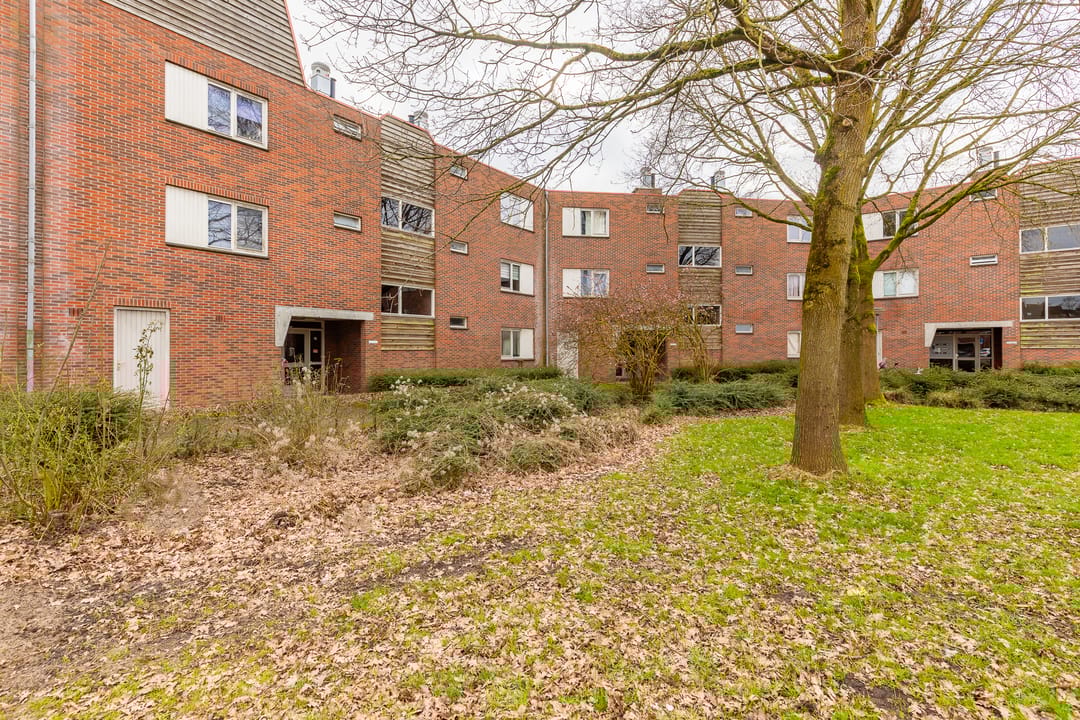 Foto 1 van Vrijmark 163