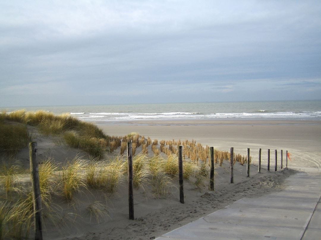 Foto 37 van Lage Nieuwstraat 336