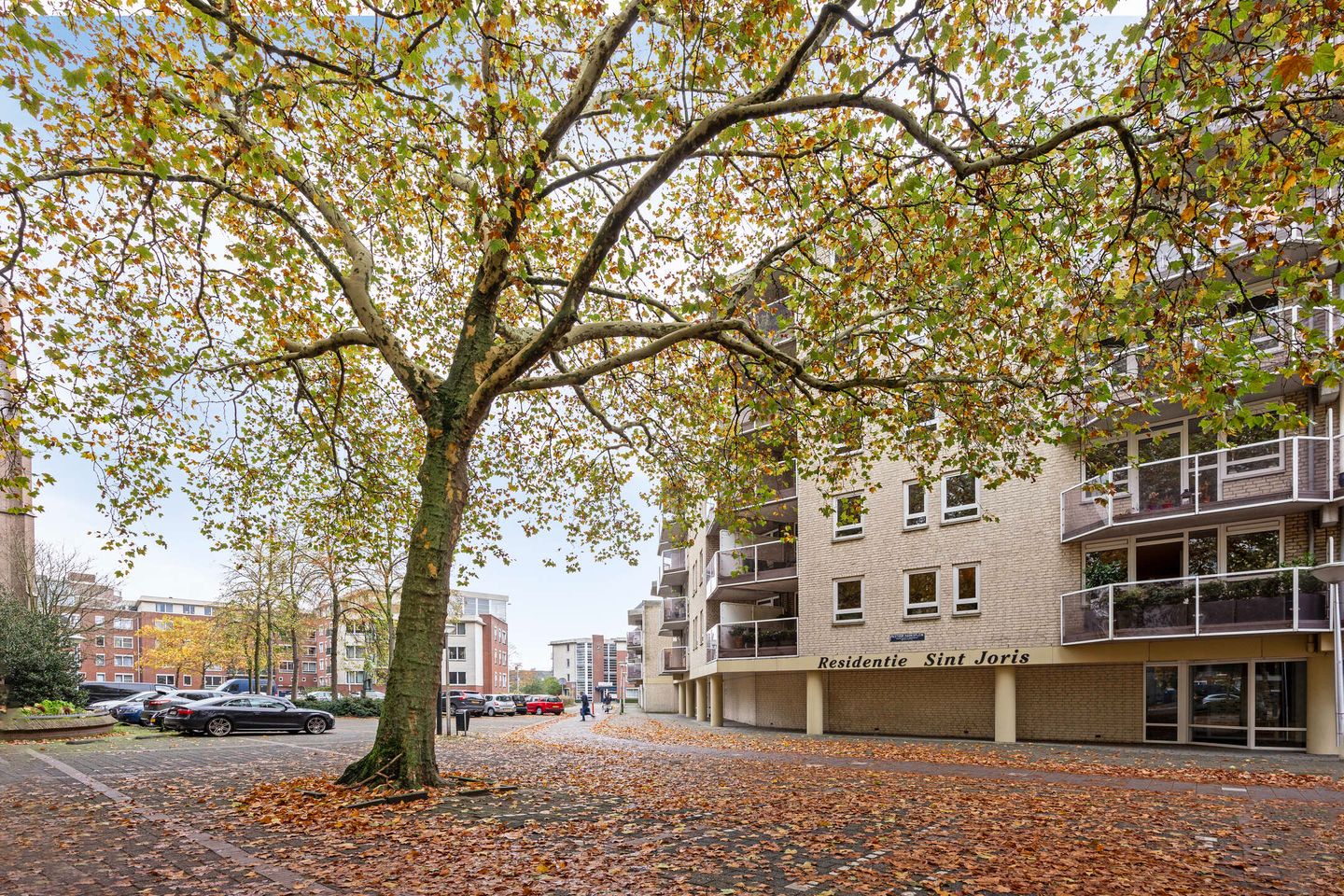 Foto 20 van Pastoor Harkxplein 40