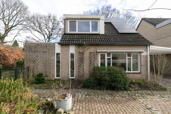 Foto 5 van Iepenbroek 9