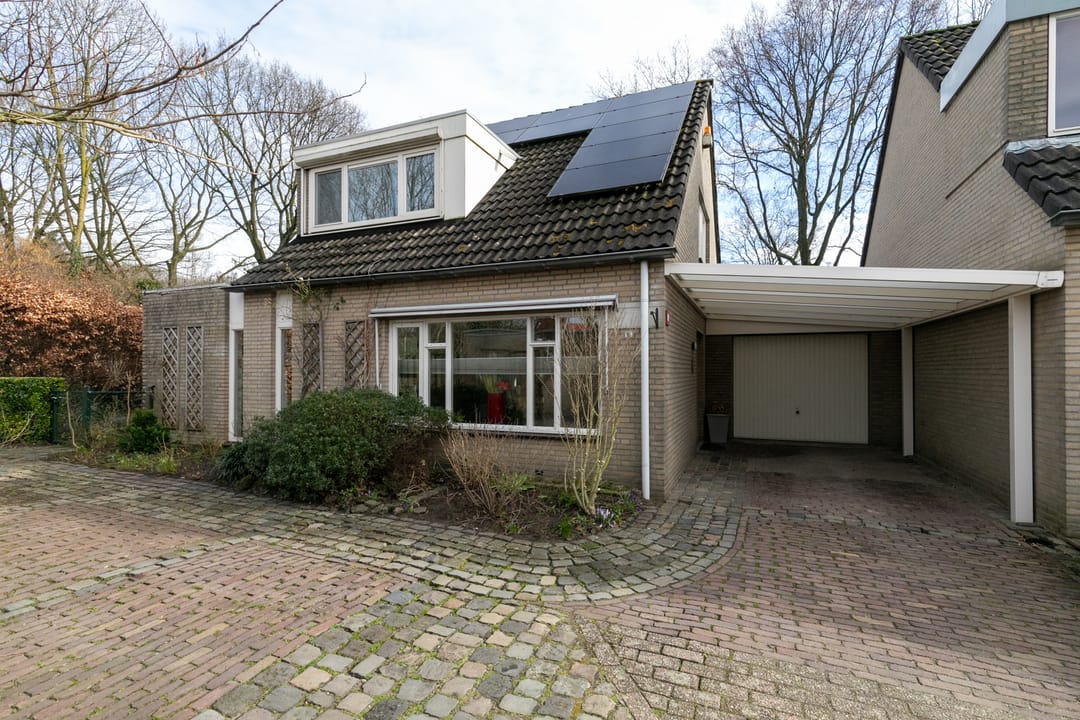 Foto 7 van Iepenbroek 9