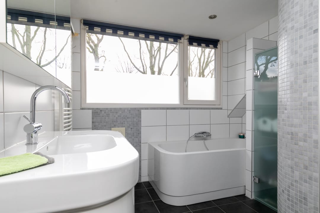 Foto 41 van Iepenbroek 9