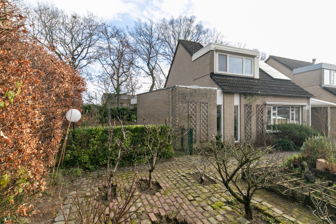 Foto 56 van Iepenbroek 9