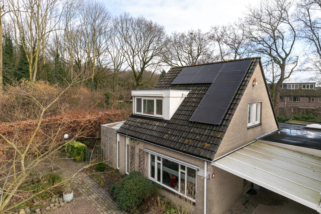 Foto 58 van Iepenbroek 9