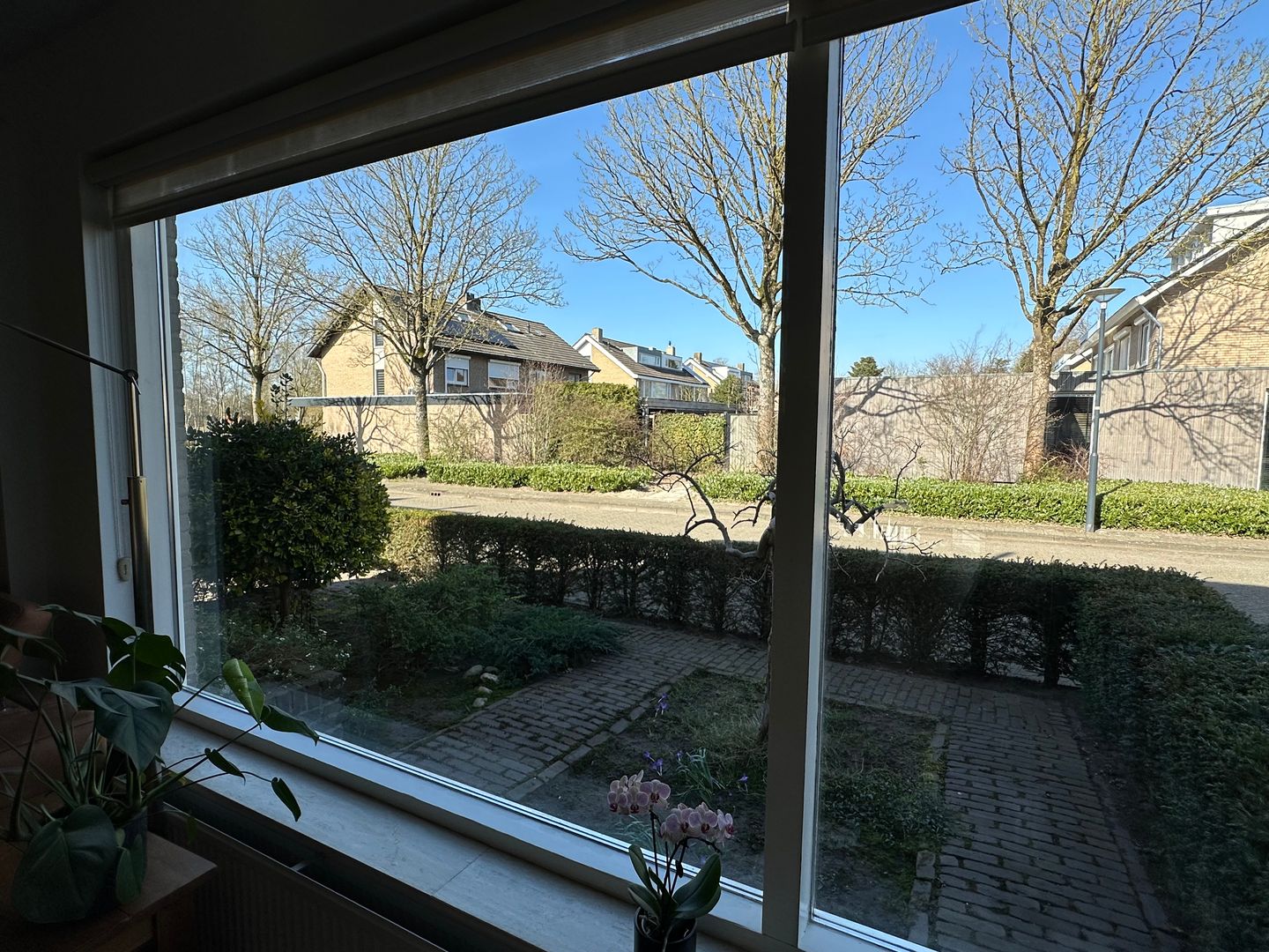 Foto 19 van Mechelenstraat 6