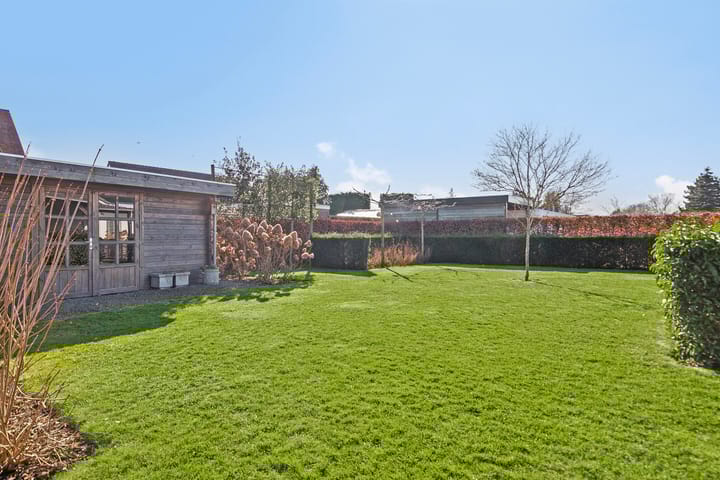 Foto 2 van Serlippensstraat 13