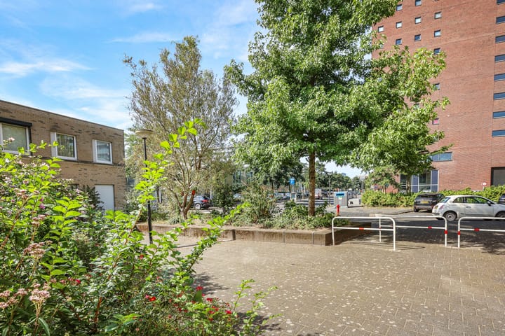 Foto 25 van Janusz Korczakplantsoen 11