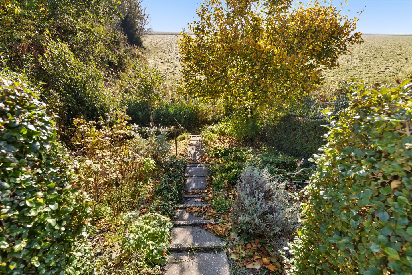 Foto 50 van Gastelsedijk West 6