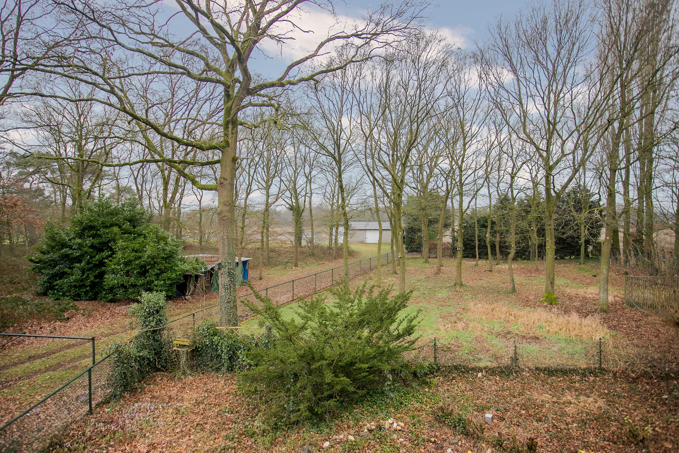 Foto 21 van Blitterswijckseweg 7