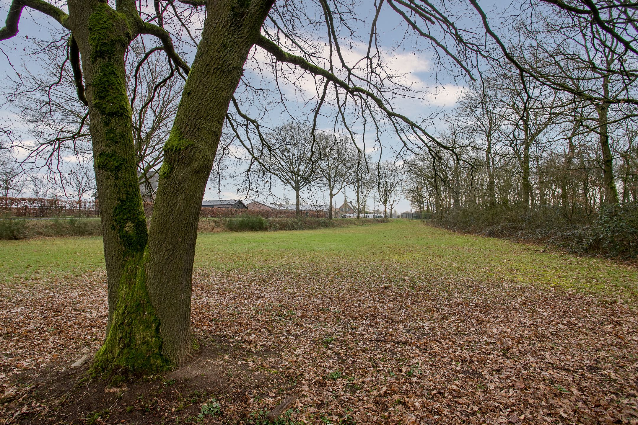 Foto 36 van Blitterswijckseweg 7