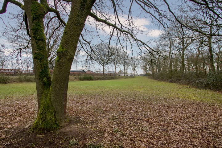 Foto 36 van Blitterswijckseweg 7