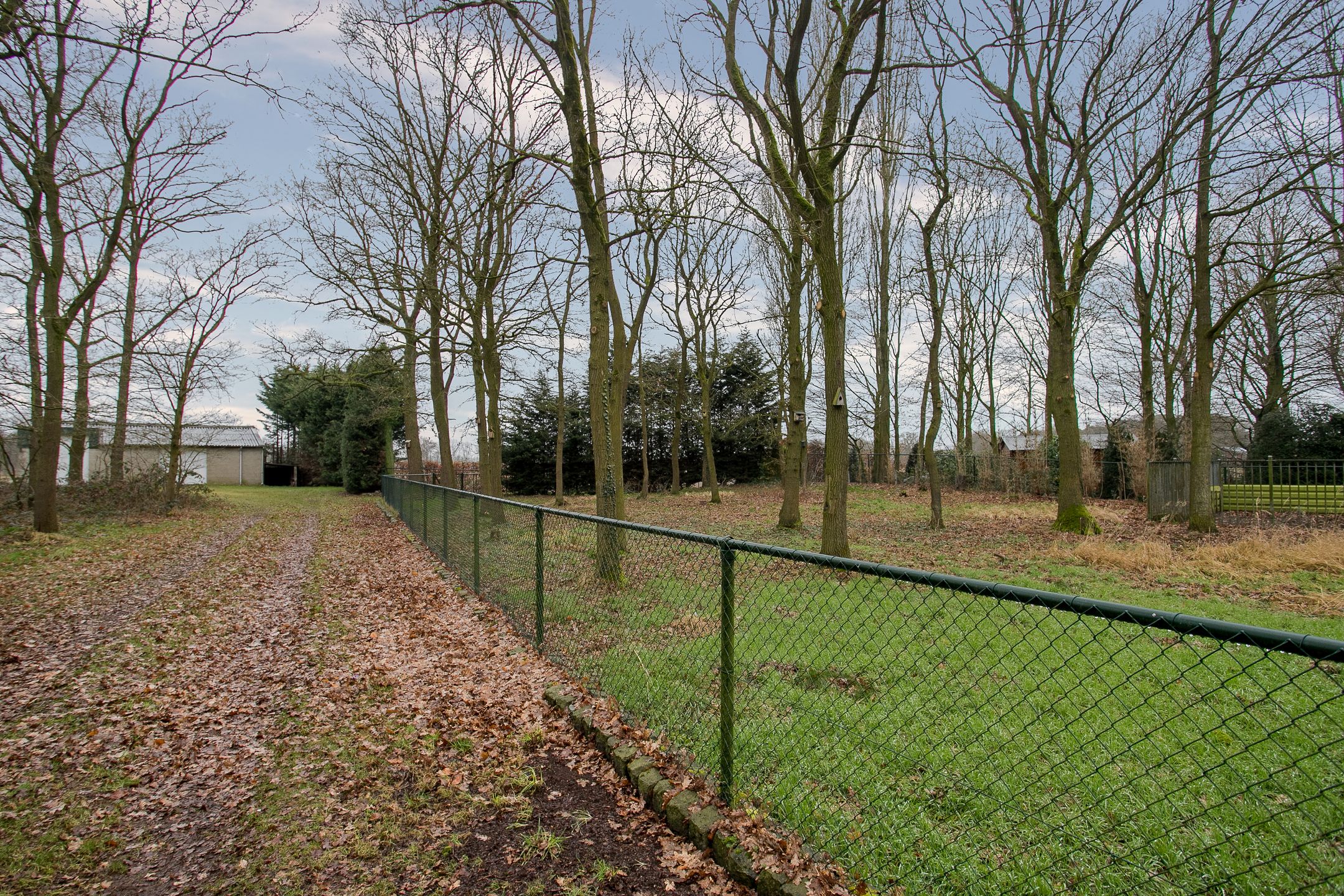 Foto 45 van Blitterswijckseweg 7