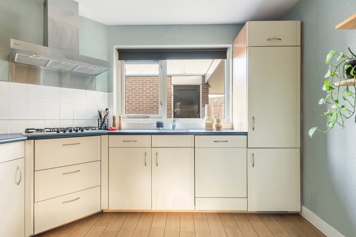 Foto 11 van Rozemarijn 5