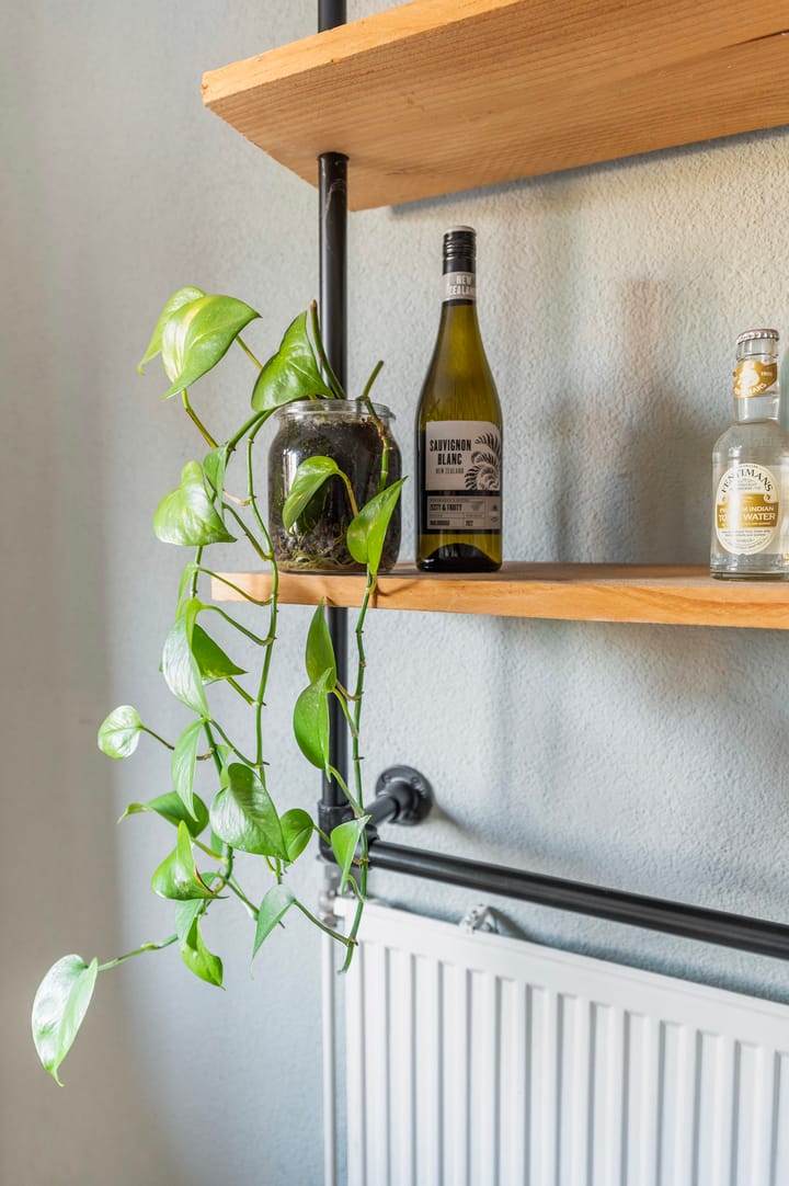 Foto 12 van Rozemarijn 5