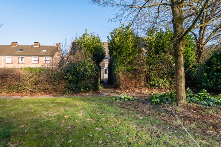 Foto 32 van Rozemarijn 5