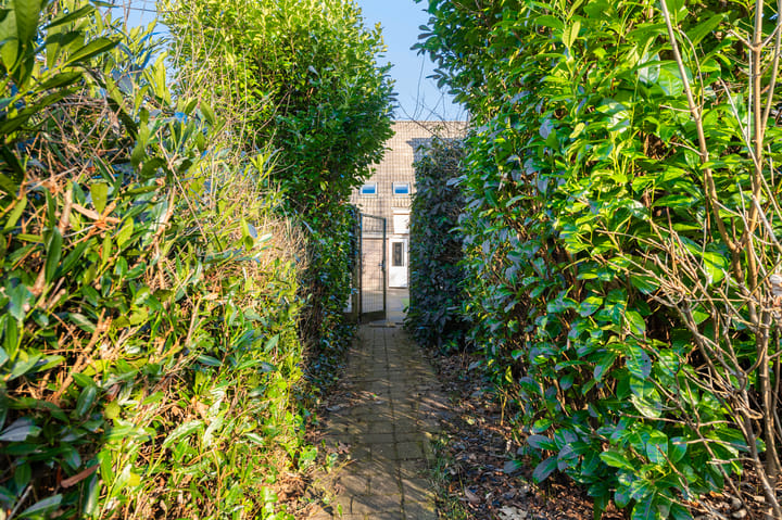 Foto 33 van Rozemarijn 5