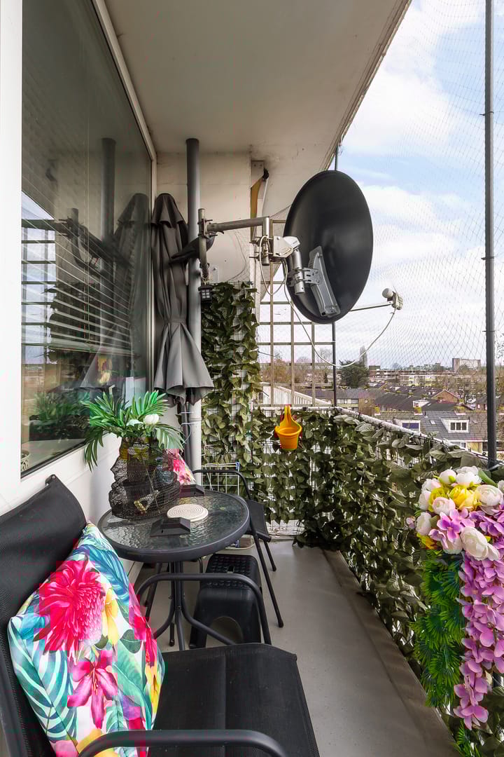 Foto 33 van Schipbeekstraat 72