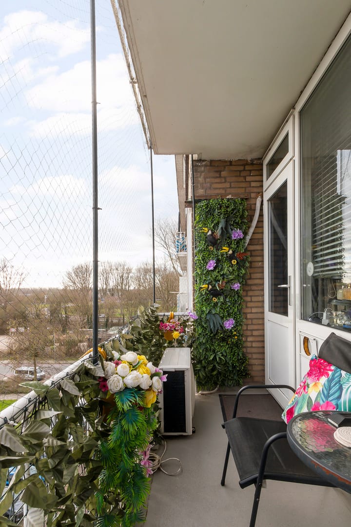 Foto 36 van Schipbeekstraat 72