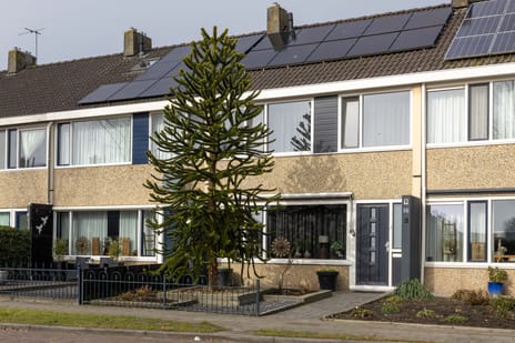 undefined main image