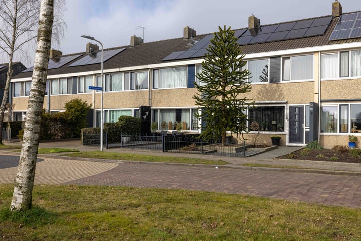 Foto 40 van Boekweitstrjitte 16