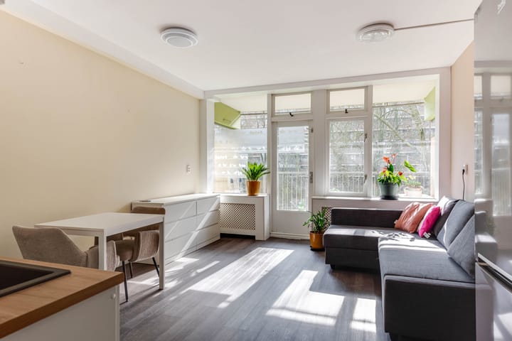 Foto 4 van Oostervenne 206-A