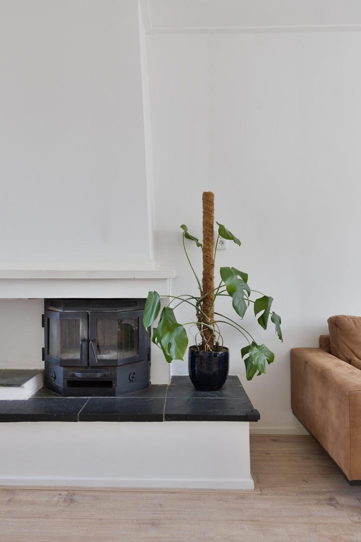 Foto 11 van Paulus Potterstraat 62