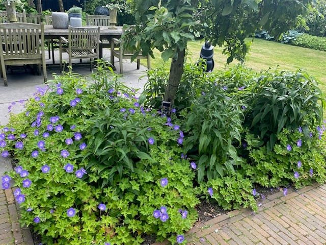 Foto 52 van Gooiergracht 163