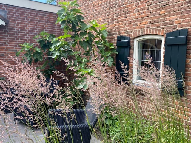 Foto 53 van Gooiergracht 163