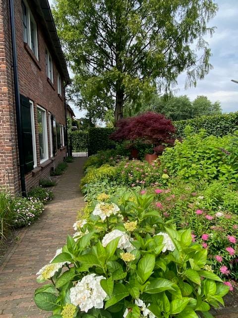 Photo 56 of Gooiergracht 163