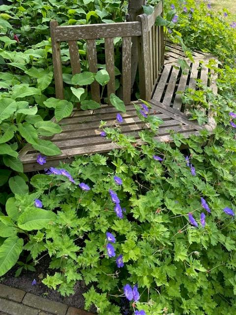 Foto 57 van Gooiergracht 163