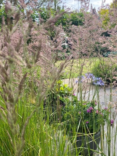 Photo 61 of Gooiergracht 163