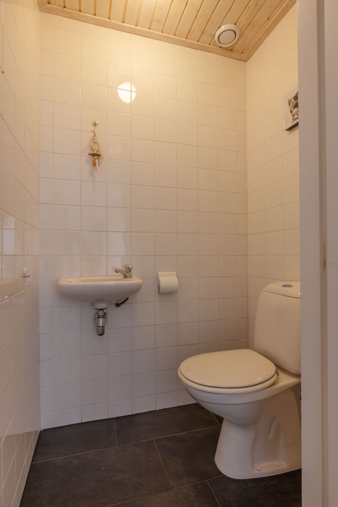 Foto 23 van De Buizerd 24