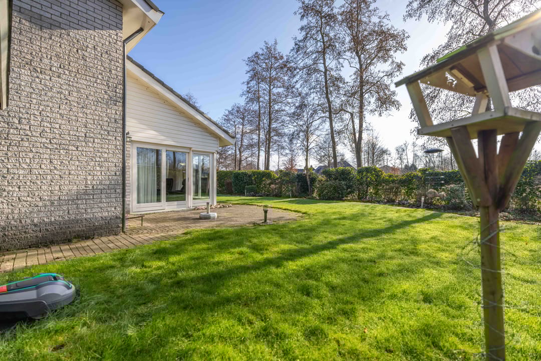 Foto 41 van De Buizerd 24