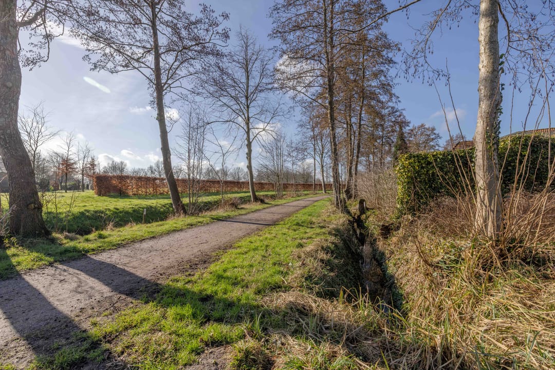 Foto 47 van De Buizerd 24