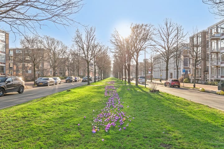 Foto 19 van Meppelweg 234