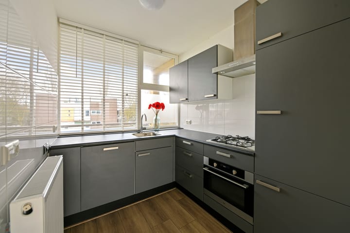 Foto 10 van Karel Doormanlaan 196