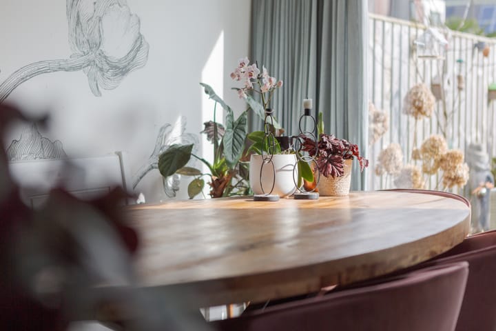 Foto 21 van Atalanta 12